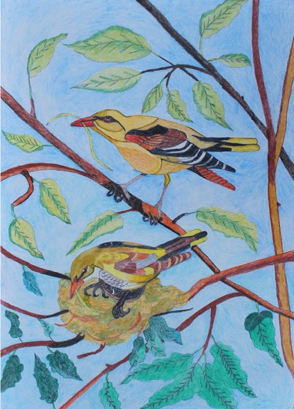 GURLI MARGRETHE HANSEN